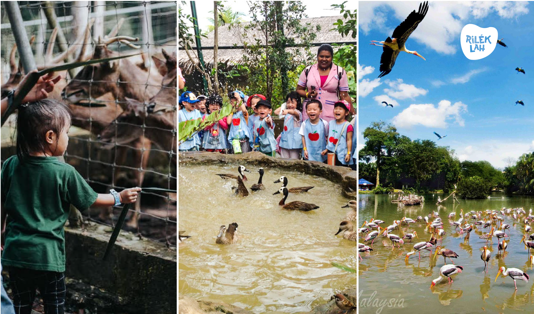 5 Mini Zoo Anda Boleh Bawa AnakAnak Sempena Cuti Sekolah di Selangor 2022
